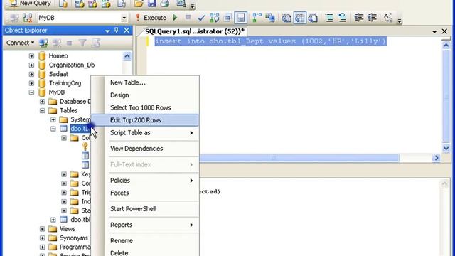 Insert Statement In Ms Sql Server (3 of 15)