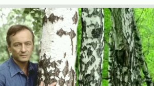 а годы летят