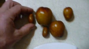 ЗИЗИФУС ягоды ГИГАНТЫ !!! giant ziziphus !!!