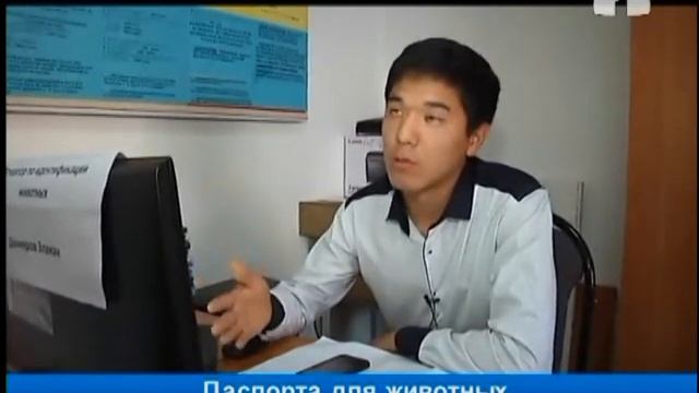 Паспорта для животных необходимы для экспорта мясо-молочной продукции смотреть онлайн