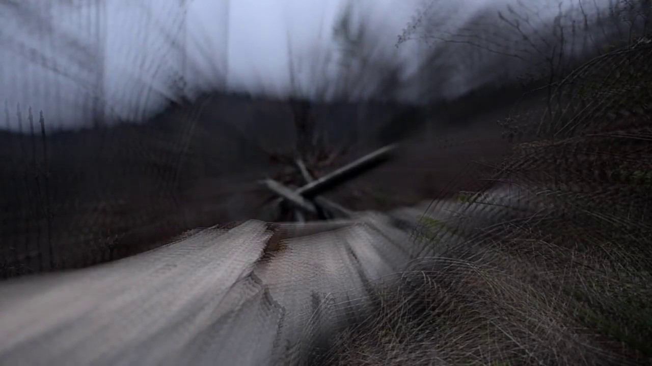 Grontisdub "Mystik Forest" смотреть онлайн