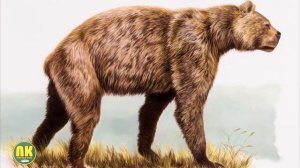 Короткомордый Медведь - Самый Огромный Медведь в Истории! Вымерший хищник-гигант!