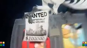 Angry birds rio trailer