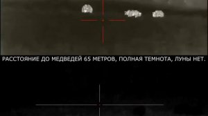 Охота на медведя на овсах. (ПНВ VS Тепловизионный прибор)