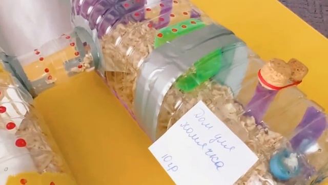 Экологический конкурс "Сортируй отходы - береги природу!" смотреть онлайн