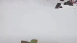 Персик ты куда?