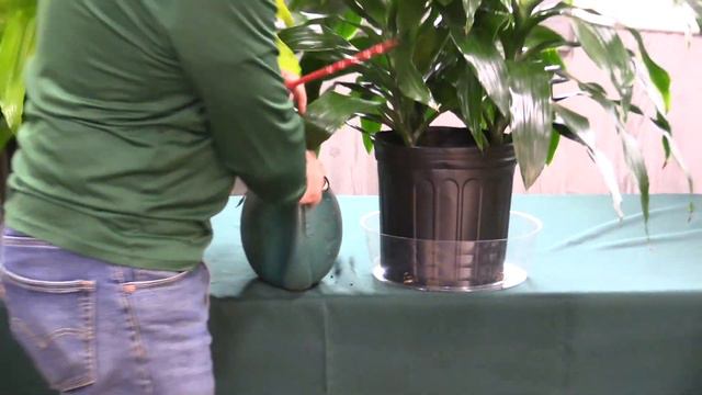 Plantz.com Plant Assure irrigation system