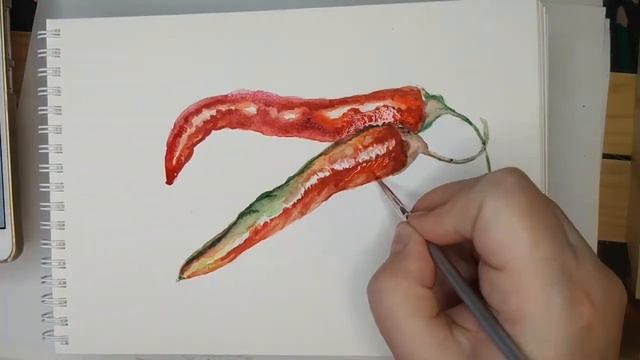 How to draw chilli pepper\ Как нарисовать перец чили акварелью смотреть онлайн