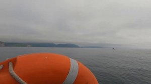 Камчатка.Рыбалка на Тихом океане, ловим минтай и камбалу.