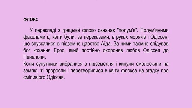 ФЛОКСИ смотреть онлайн