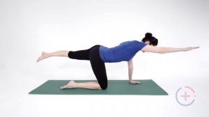 Упражнение на осанку - охотничья собака. (Bird dog)