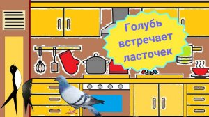 Голубь встречает ласточку