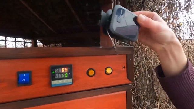 Готовим сочные окорочка горячего копчения