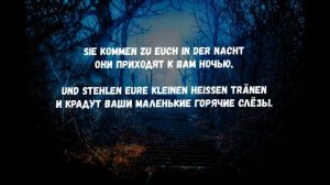 Текст,перевод песни Rammstein - Mein Herz Brennt