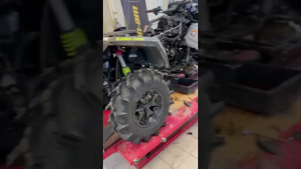 Вирусная озвучка но в тему)) смотреть онлайн