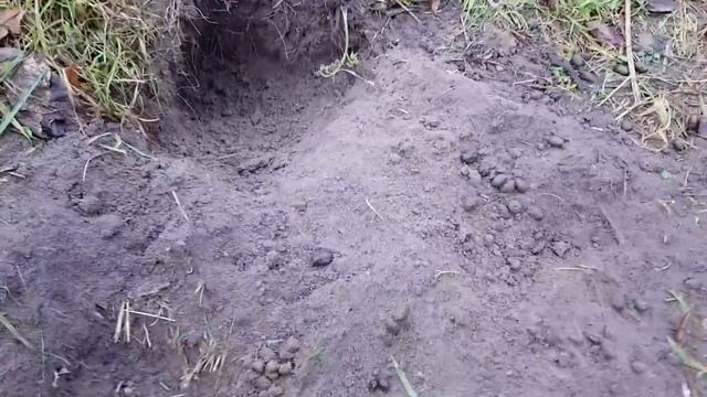 Старожилам 30 дней. Делаем домики для крольчат. смотреть онлайн