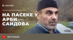 В гостях у чеченского пчеловода Арби Саидова - Visiting Arby Saidov's apiary in Chechnya, Russia.