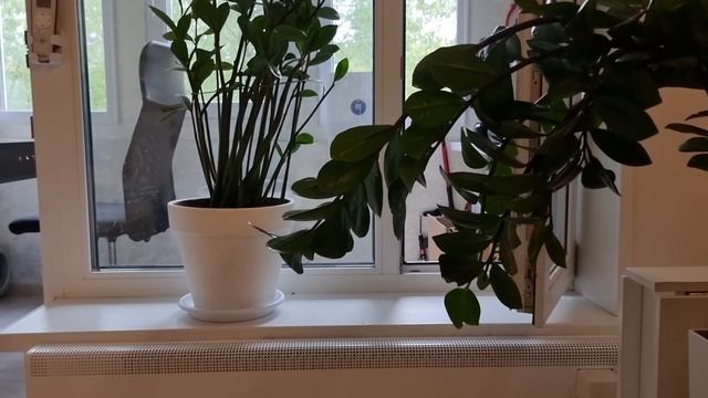 Экосистема умного дома Xiaomi и пульт Aqara Opple