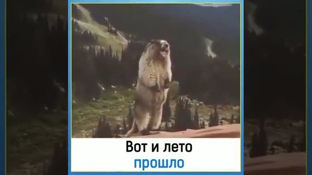 грустно?