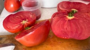 ?МИНУСИНСКИЕ ПОМИДОРЫ? ГОРДОСТЬ РОССИИ!!!