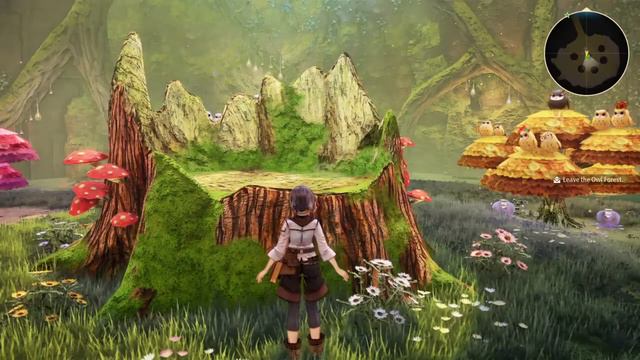 Tales of Arise - more fun times with the owls смотреть онлайн