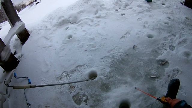 Рыбалка под мостом, через реку Сеполька смотреть онлайн