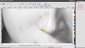 Моделируем рельеф лица по фото в JDPaint 5.55 RUS Часть 1