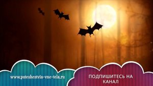СОННИК - К чему снится ЛЕТУЧАЯ МЫШЬ?