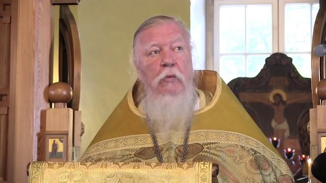 Проповедь в день памяти святых апостолов Петра и Павла. Димитрий Смирнов смотреть онлайн