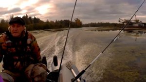 Рыбалка троллингом. Щука на воблер  DEEP WALLEYE BANDIT