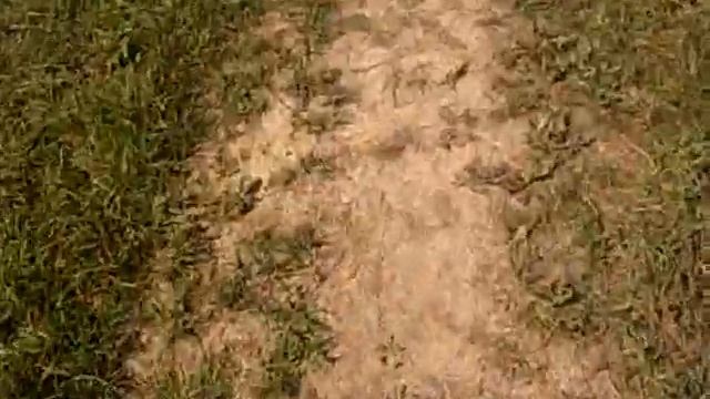 Вдоволь наплескавшись в КАЛе босиком я пошёл по полю в лес куда то чё-то рассказывая Вам смотреть онлайн