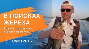 В поисках жереха | Рыбалка на  Волга в окрестностях Нижнего Новгорода