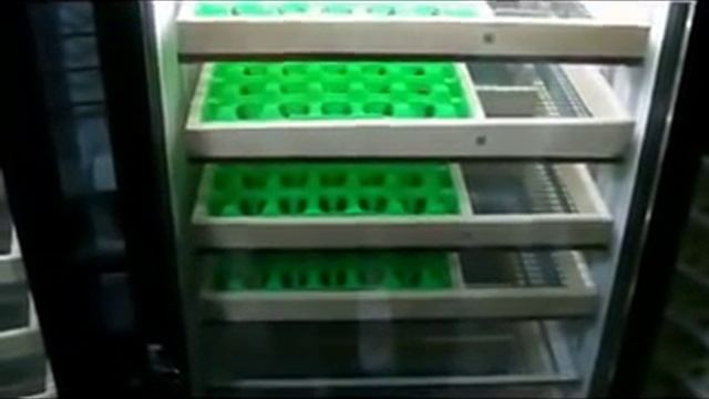 Для инкубатора.Терморегулятор-влагомер,поворот лотков смотреть онлайн