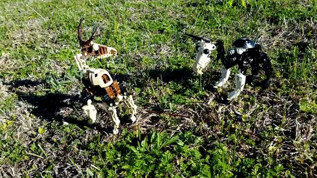 Bionicle M.O.C. - Mukau Herd! смотреть онлайн