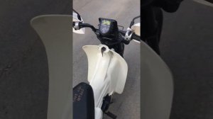 Suzuki Birdie