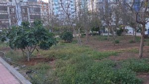 Влог из Мерсин ✅ Жизнь в Турции 2023 💥 Дом у Моря