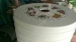 Сушилка Ротор. Тестирую. Очень довольна результатом.