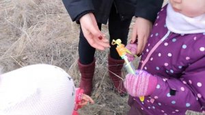 Катаемся на квадроцикле. Дети играют на природе.