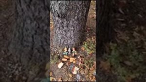 Обряд обращение к Великому Богу Велесу