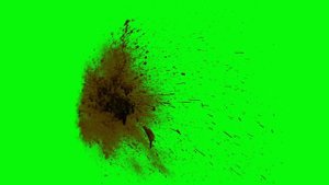 Брызги крови, кусочки мозгов (хромакей, green screen effects HD) №1