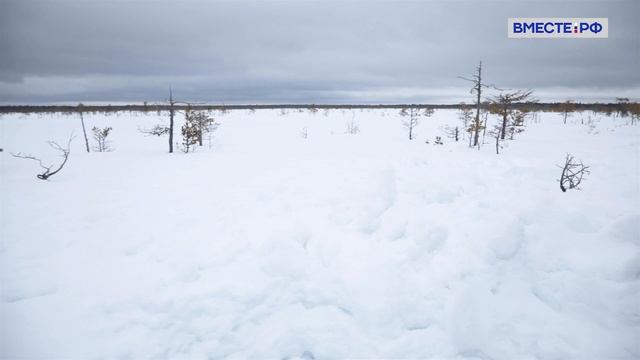 Тайны Юганского заповедника. Заповедники РФ