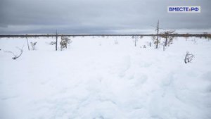 Тайны Юганского заповедника. Заповедники РФ