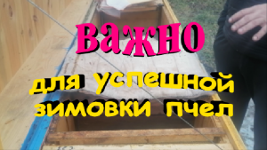 Несложная но очень важная процедура на пасеке для успешной зимовки пчел