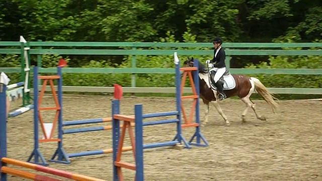 Конкур в Сочи. Конь Монгoл. смотреть онлайн