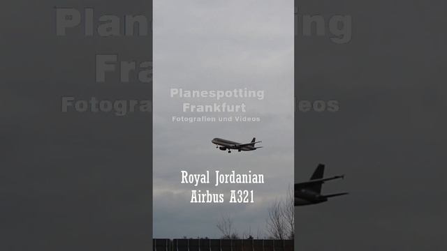 Royal Jordanian Air - Airbus A321 Landing at Frankfurt (FRA) Airport #shorts