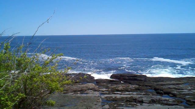 Nature's valium смотреть онлайн