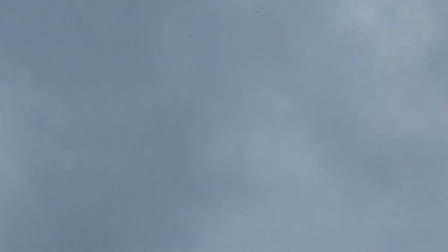 Вот это моё сотня голубей в небе моё хобби смотреть онлайн