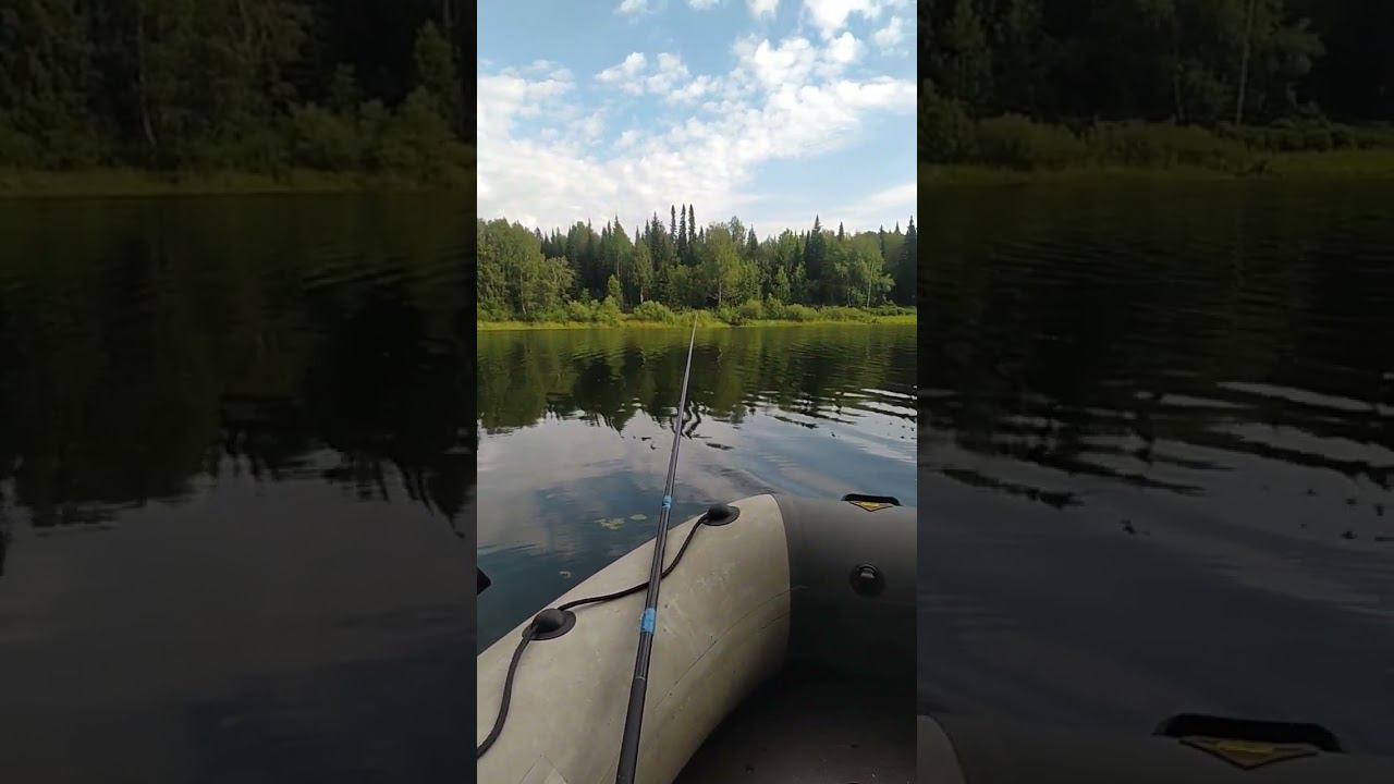 Утро на рыбалке!