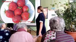 ?Какие ремонтантные сорта клубники стоит купить? Лучшие ремонтантные сорта клубники для выращивания