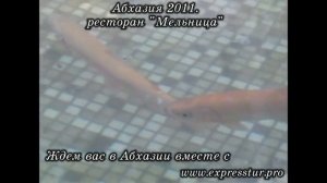 Ресторан Мельница, Абхазия, Гагра